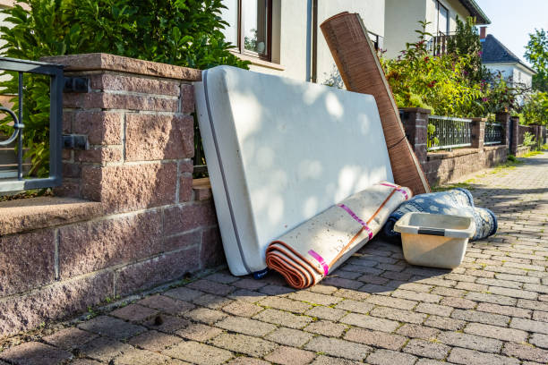 Best Shed Removal  in Detroit, MI